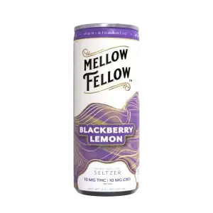 Delta 9 THC + CBD Seltzer Beverage 20MG - Blackberry Lemon 24-Pack